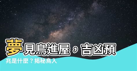 夢見鳥飛進房間|夢見鳥飛進屋子裡